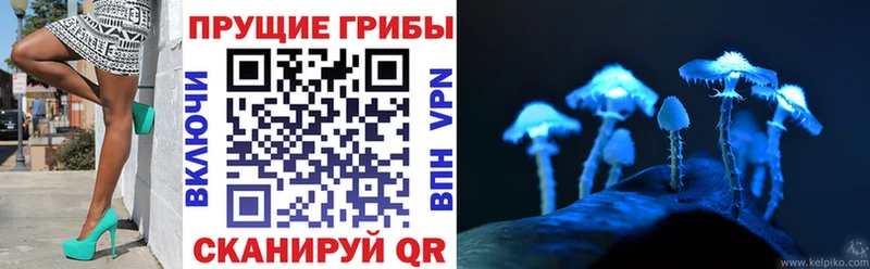 магазин    Дятьково  Псилоцибиновые грибы GOLDEN TEACHER 